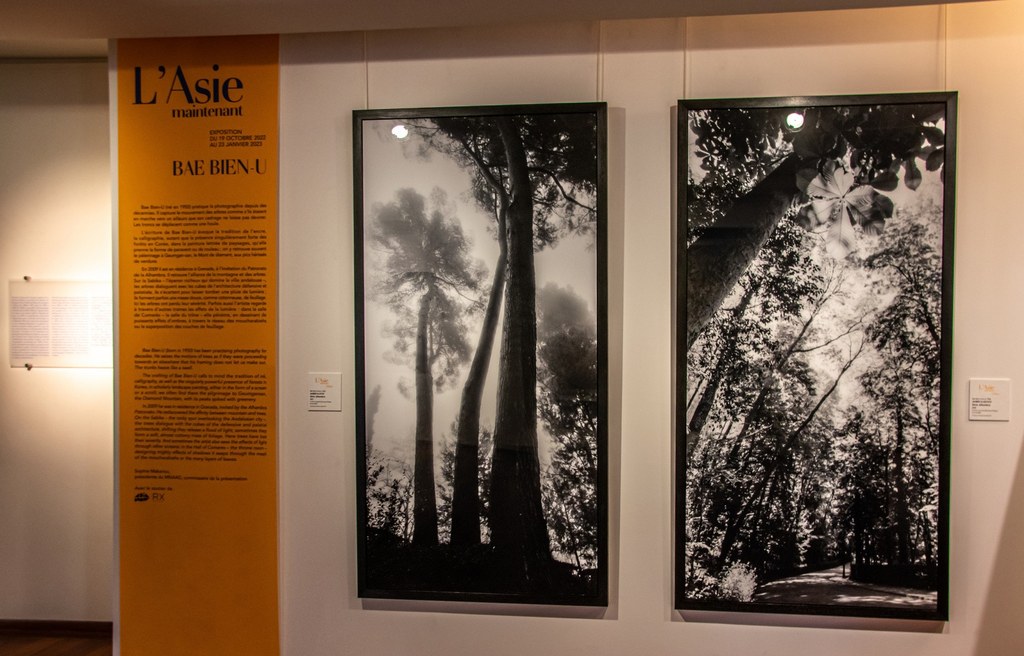 Installation view of Bae Bien-U at the Musée Guimet, 2022
