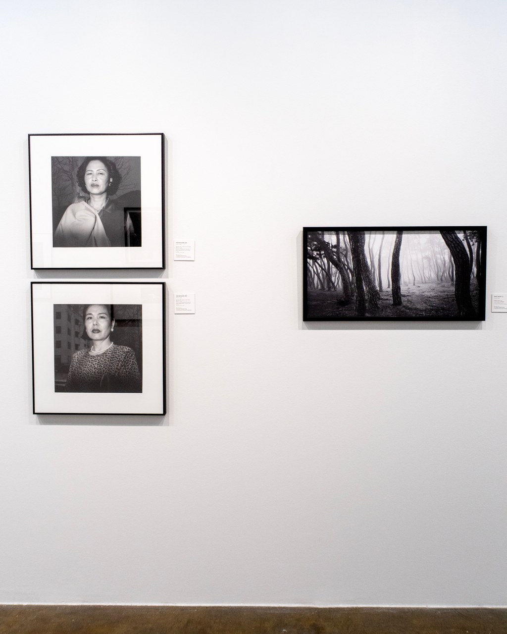 FotoFest 2000 section, Global Visions – FotoFest at 40, Houston, 2026